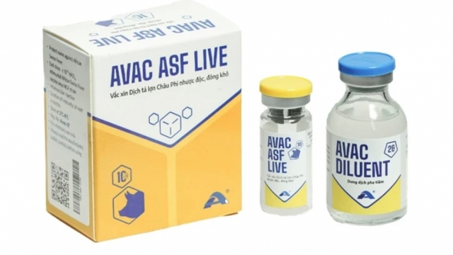 Vietnam ships first batch of African swine fever vaccine to Indonesia