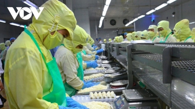 China emerges as top buyer of Vietnamese shrimp in first half