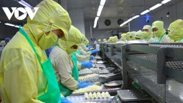 Shrimp exports to US surge despite tariff concerns