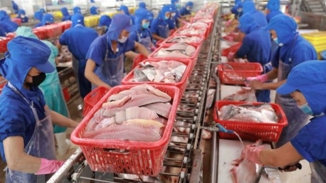 Seafood exports to Brazil soar, topping all markets in first half of 2025