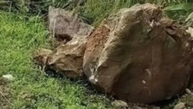 Theo người lớn đi chăn bò, bé gái 2 tuổi bị đá lăn vào người tử vong