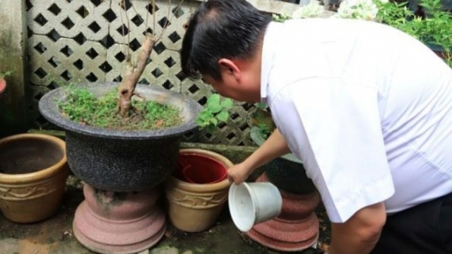 Community awareness key to controlling dengue fever outbreak: experts say