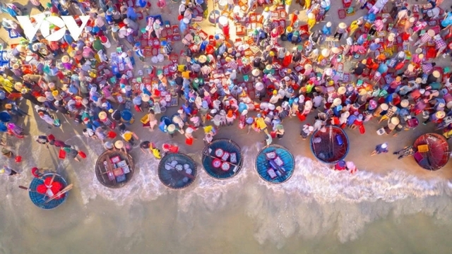 Exploring Tam Tien fish market at dawn in Da Nang