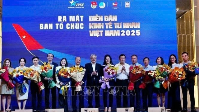 Vietnam Private Sector Forum 2025 to run from July-September