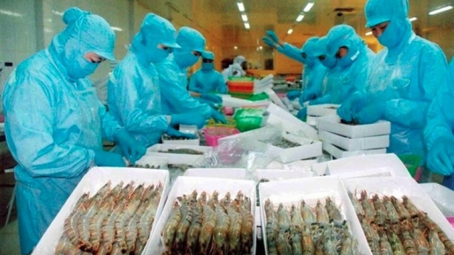 Strong growth pushes Vietnamese seafood to over 10% market share in Singapore