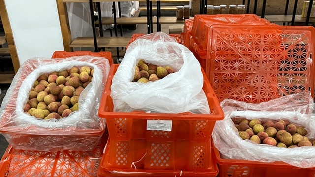 Doanh nghiệp xuất khẩu của Việt Nam cần làm gì để chinh phục thị trường Hoa Kỳ?