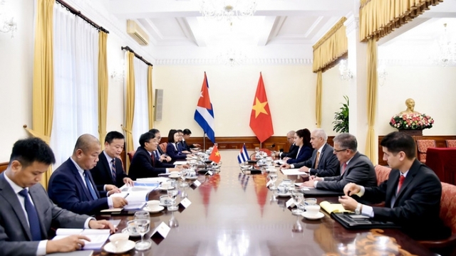 Vietnam, Cuba commit to stronger ties during eighth political consultation