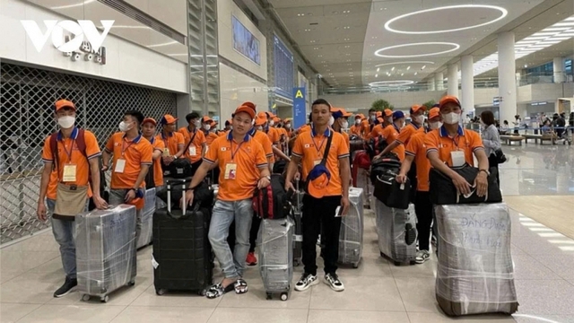 Nearly 75,000 Vietnamese workers sent abroad in first half of 2025