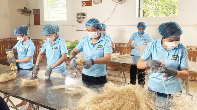 Vietnam’s OCOP brands go global with e-commerce push