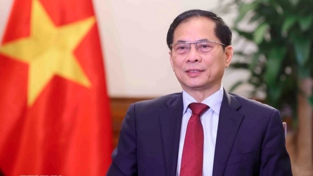 Deputy PM, FM highlights 80-year journey of Vietnam’s diplomacy