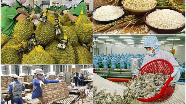 HCM City conference aims to boost agro-forestry-fishery exports