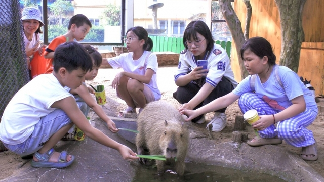 Rộn ràng lễ hội kỷ niệm 80 năm Quốc khánh 2/9