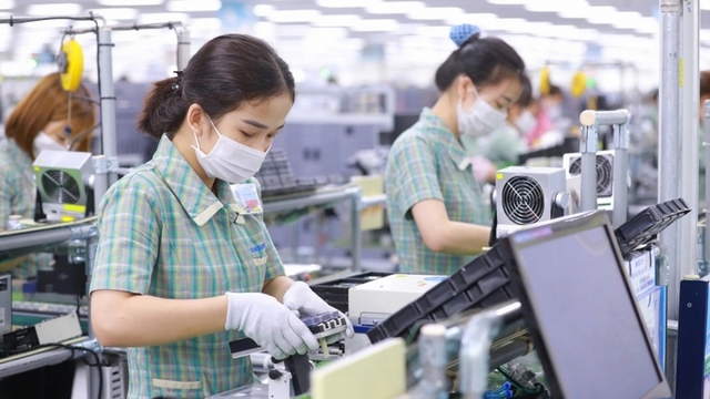 Hơn 174.000 doanh nghiệp gia nhập thị trường trong 7 tháng năm 2025