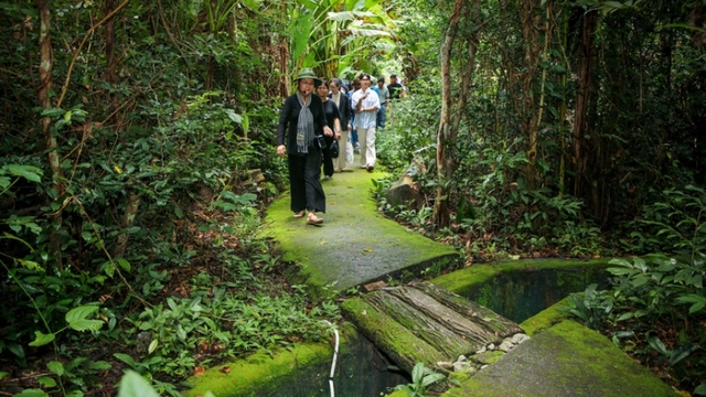 ‘VITA Green’ label set to boost Vietnam’s global sustainable tourism