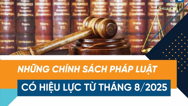 Chính sách pháp luật có hiệu lực tháng 8/2025
