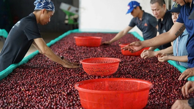 Xuất khẩu vào Mỹ bắt đầu khó, doanh nghiệp thận trọng từng đơn hàng