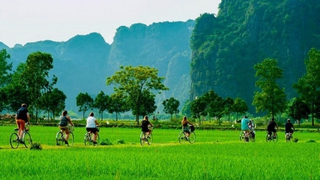 Vietnamese tourism needs “green passport” for international integration