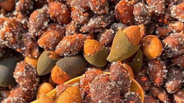Đến mùa hái "lộc rừng", bóc vỏ ăn cơm vàng chua chua, ngọt ngọt