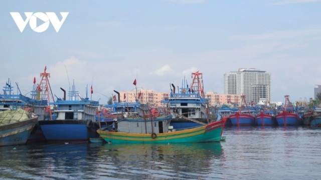 PM underlines resolve to have EU lift “yellow card” on seafood sector in 2025