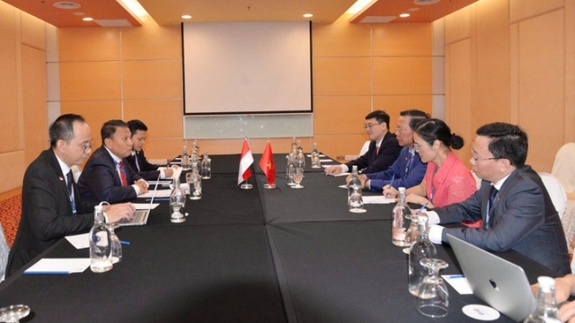 Vietnam, Indonesia commit to deeper parliamentary cooperation