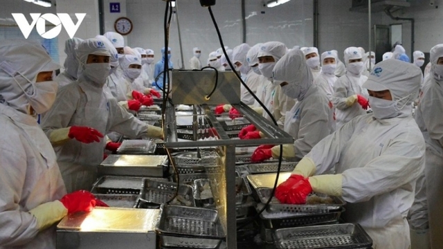 China increases imports of Vietnamese shrimp