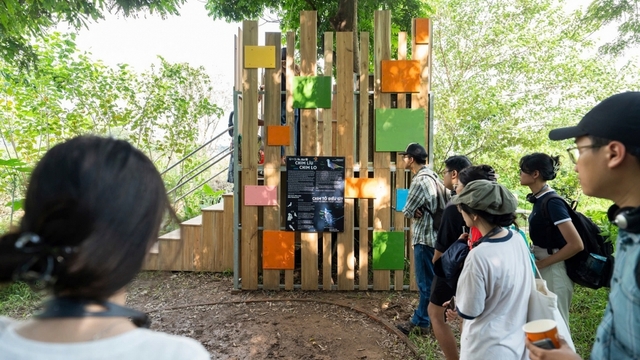 Nghe tiếng chim và đọc “thông điệp” của chúng ngay giữa lòng thành phố