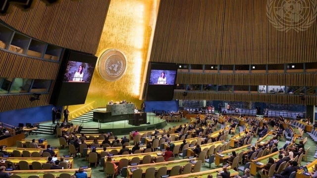 LHQ thông qua nghị quyết ủng hộ giải pháp hai nhà nước trong vấn đề Israel-Palestine