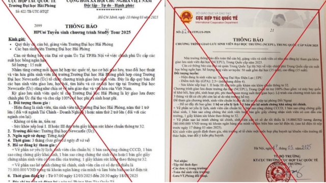 Bộ GD&ĐT cảnh báo thông tin giả về học bổng, tài trợ du học