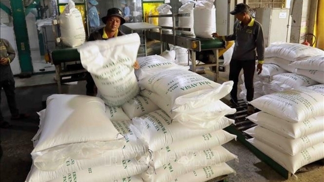 Vietnam’s rice exports remain stable despite import pauses by Philippines