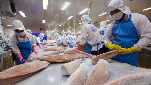 Vietnam’s aquatic exports surge toward US$10 bln amid trade hurdles