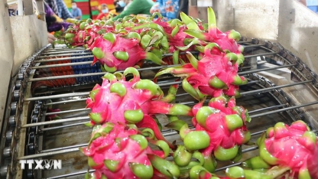 Fruit, vegetable exports estimated at US$6.11 billion in nine months