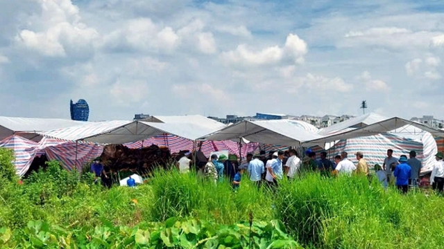 Bản tin tổng hợp: Khởi tố kẻ lái máy xúc xâm phạm mồ mả tại Hưng Yên