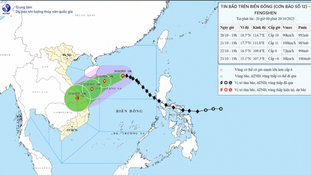 Bão số 12 cách Hoàng Sa khoảng 330km, giật cấp 12