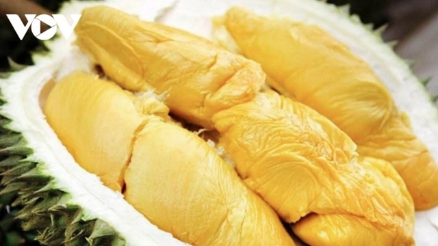 Durian export surge lifts fruit and vegetable sector toward record US$8 billion