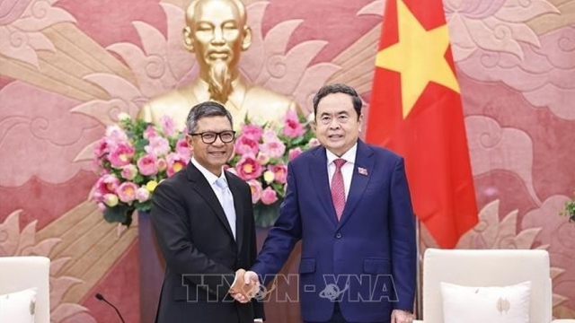 Outgoing Indonesian, Singaporean ambassadors bid farewell to NA Chairman