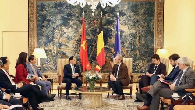 Vietnam, Belgium, EU deepen cooperation across key sectors