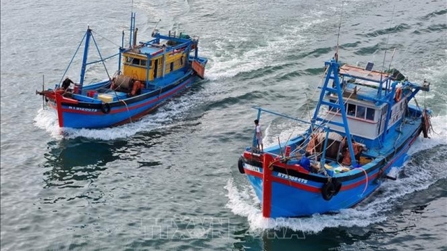 Dak Lak to hold officials accountable for any laxity in IUU fishing fight