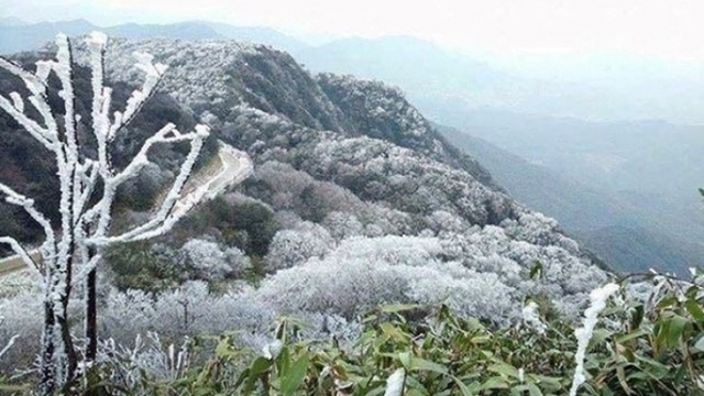 Không khí lạnh tăng cường, miền Trung mưa to gió mạnh do bão số 12