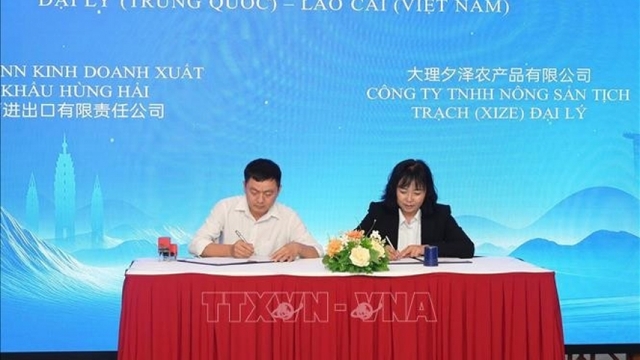 Lao Cai, China’s Dali step up economic, trade cooperation