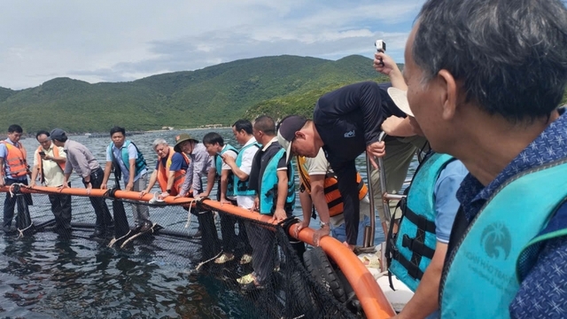 Khuyến nông dẫn dắt nuôi biển công nghệ cao thích ứng biến đổi khí hậu