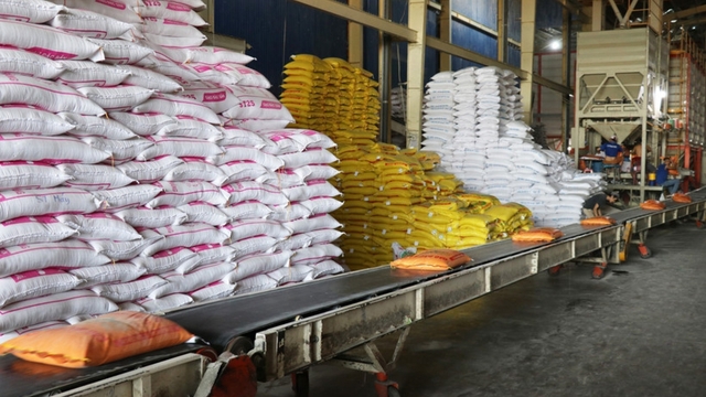 Vietnam exports 7 million tonnes of rice, earning nearly US$3.59 billion