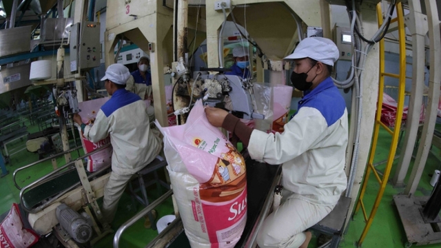 Vietnam approves content of MoU on rice trade cooperation with Singapore