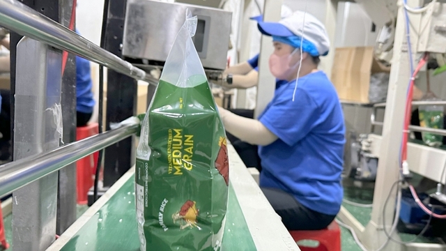 ĐBSCL có hơn 9.300 doanh nghiệp thành lập mới trong 6 tháng đầu năm