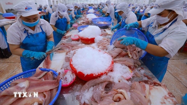 Workshop seeks to boost agro-forestry-aquatic exports to EU