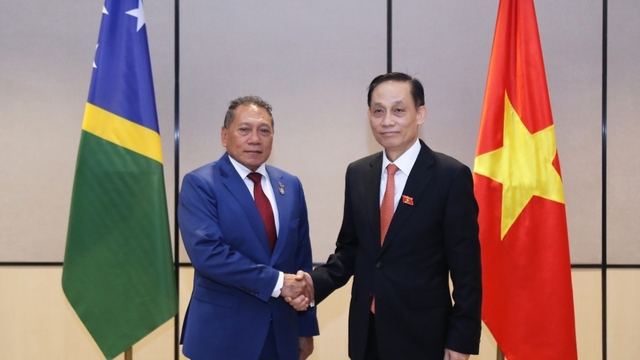 Việt Nam và Solomon thúc đẩy quan hệ hữu nghị và hợp tác
