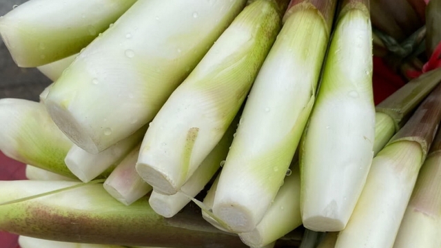 Đặc sản chỉ có một tháng trong năm, cho thu nhập gấp 3-4 lần trồng lúa