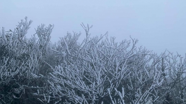 Thời tiết hôm nay 16/11: Mưa lớn từ Hà Tĩnh đến Khánh Hòa