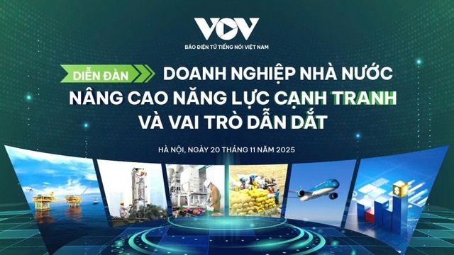 Diễn đàn bàn giải pháp nâng cao năng lực cạnh tranh và vai trò dẫn dắt của DNNN