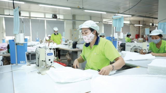 Từ yêu cầu thẩm định của EU: Doanh nghiệp cần chủ động thích ứng