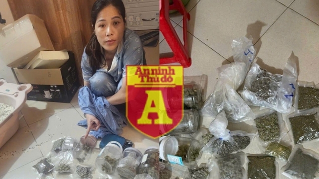 Bắt "nữ quái" tiêu thụ cần sa tại Hà Nội qua dịch vụ giao hàng công nghệ